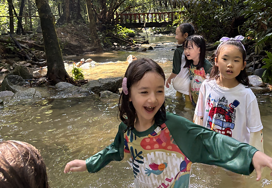 Children exploring a stream during Forest Studies
