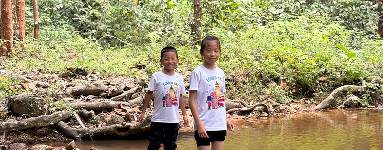 Children standing near a stream in the forest